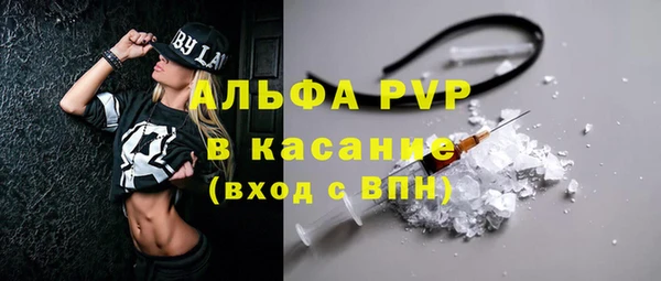 индика Богородицк