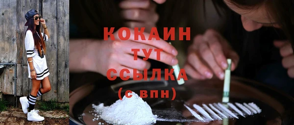 индика Богородицк