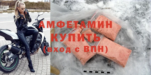 ПСИЛОЦИБИНОВЫЕ ГРИБЫ Богданович