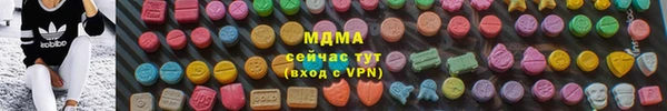 индика Богородицк
