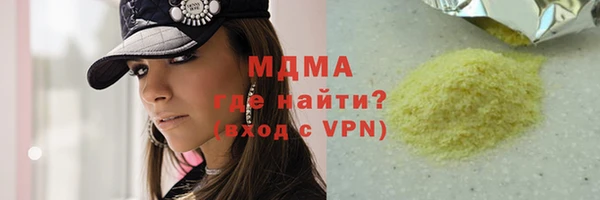 индика Богородицк