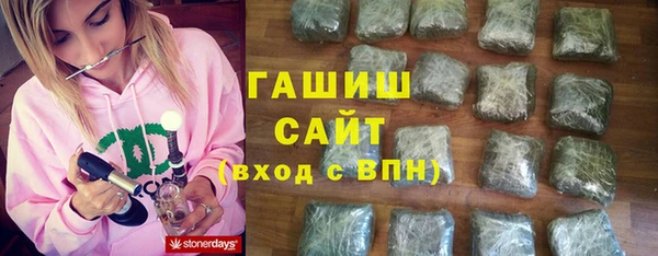 индика Богородицк
