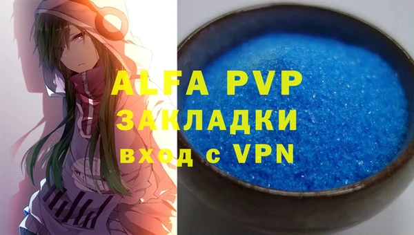 a pvp Бородино