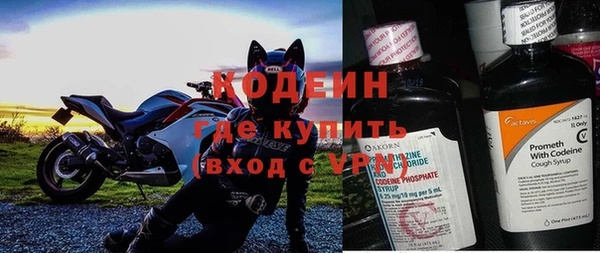 ПСИЛОЦИБИНОВЫЕ ГРИБЫ Богданович