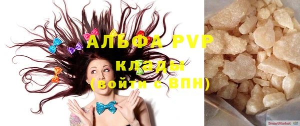 ПСИЛОЦИБИНОВЫЕ ГРИБЫ Богданович