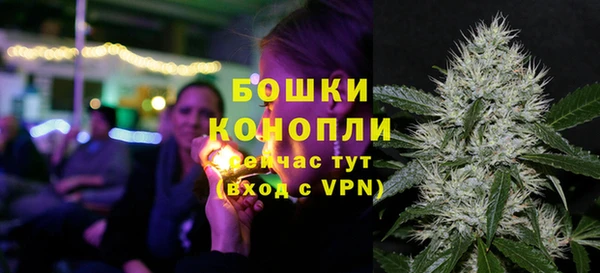 a pvp Бородино