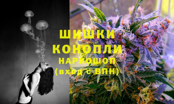 a pvp Бородино
