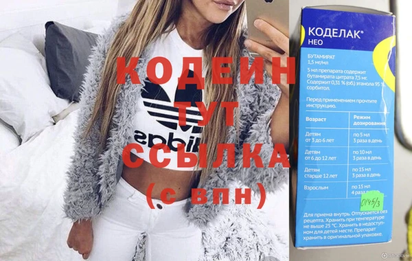 индика Богородицк