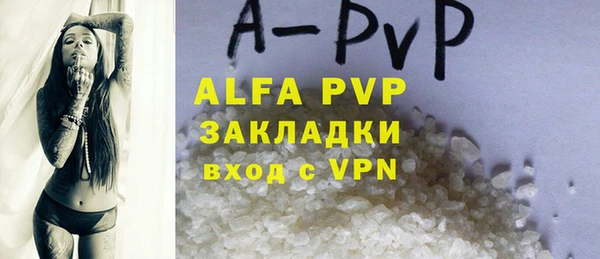индика Богородицк